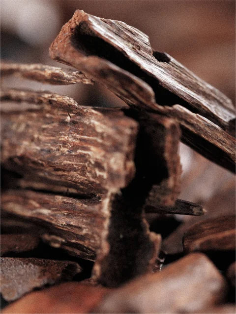 Après-Shampoing Hydratant à l'Huile d'Argan