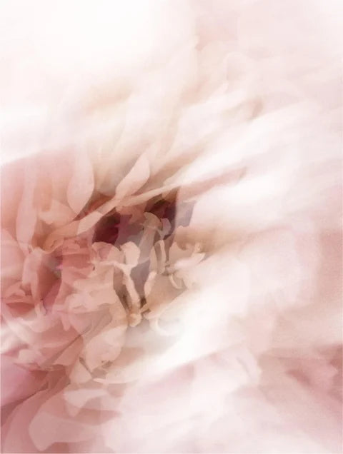 Protection Solaire SPF 50 Stick Avec Teinte