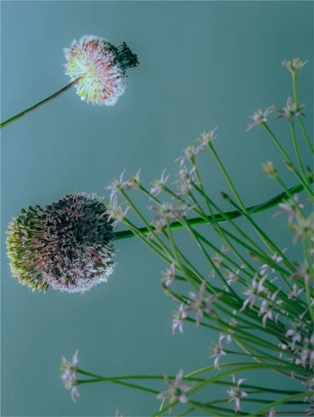 Eau Micellaire Nettoyante