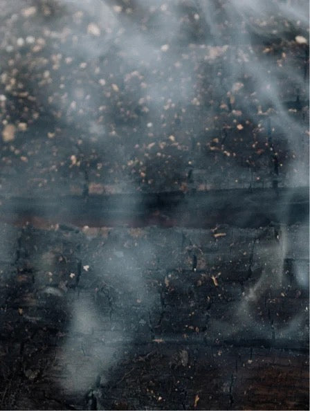 Après-shampooing Smoky Green Vétiver