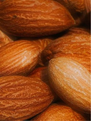 Sérum Perfecteur de Pigments
